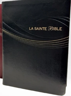 Bible Louis Segond 1910 caractères moyens