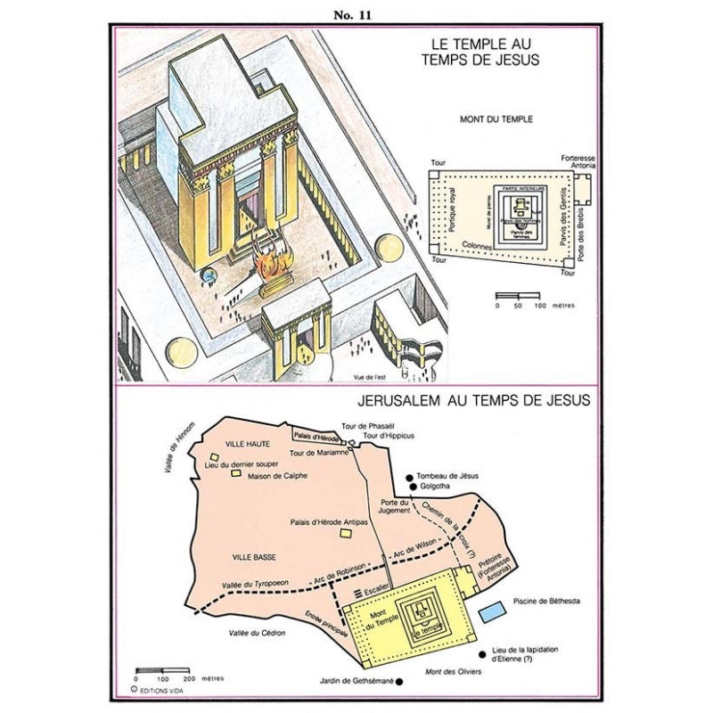 La Bible THOMPSON - la Colombe (rigide, grenat, onglets)
